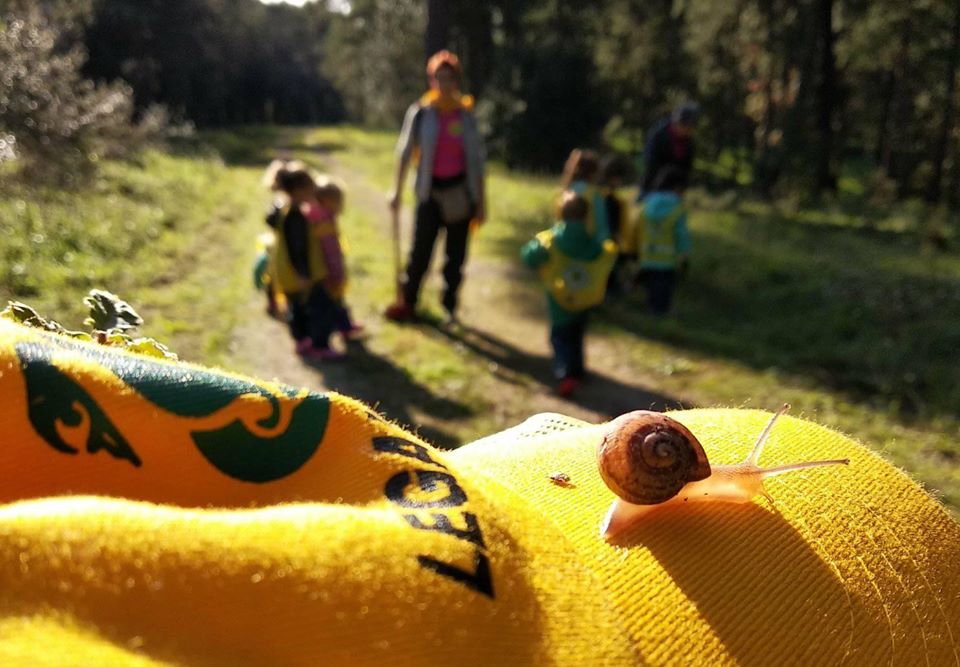 Villa Carpegna confermata sede del progetto “La scuola nel bosco”