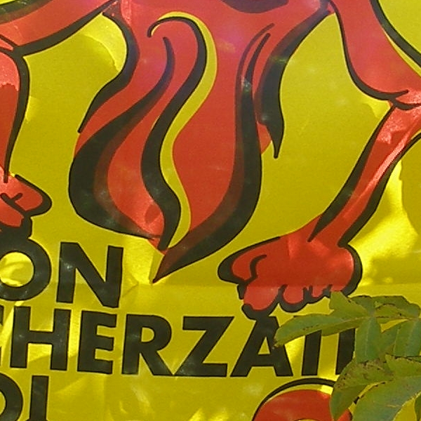 Non scherzate col fuoco